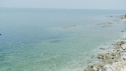 星灿大海吃瓜,一场吃瓜盛宴的奇幻之旅