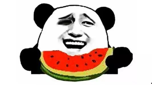 大熊地吃瓜日记,趣味横生的美食探险之旅