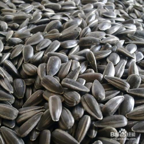 在瓜地里吃瓜子,品味瓜子，享受生活