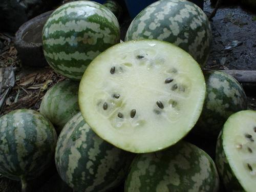 牛角葫芦瓜怎么吃,创意烹饪新体验