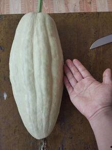 叶卡吃瓜,揭秘娱乐圈背后的那些事儿