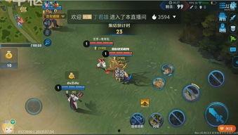 王者玩家吃瓜,揭秘游戏圈幕后风云