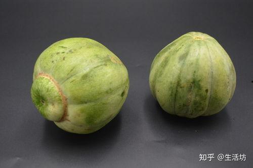 吃甜瓜怎么选瓜,如何一眼挑出最甜最鲜美的瓜果