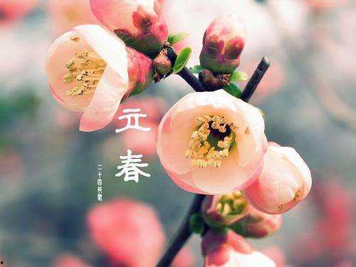 为什么立春吃瓜,传统习俗中的寓意与智慧