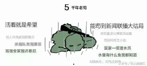 带你吃瓜奇葩鸡,带你领略“带你吃瓜奇葩鸡”的独特魅力