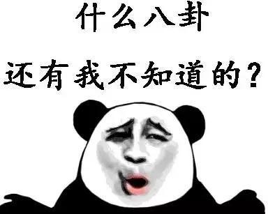 吃瓜一时爽一直吃瓜