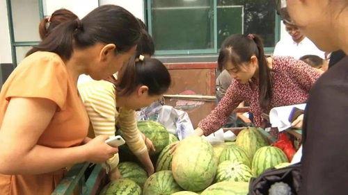 河上村吃瓜视频,揭秘乡村生活趣味瞬间