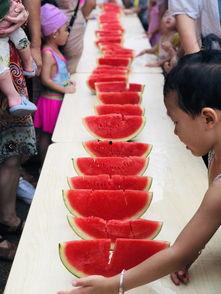 今日吃瓜小能手,揭秘娱乐圈最新热点事件