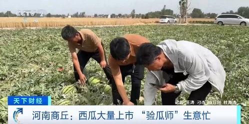 保安吃瓜必摔,揭秘意外事件背后的惊人真相