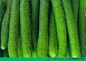 天天吃瓜图,揭秘天天吃瓜图背后的趣味世界