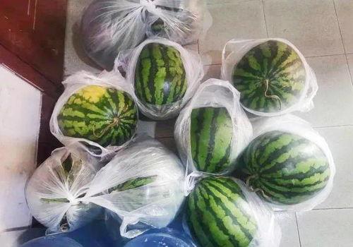 林清平瓜吃,一场别开生面的美食盛宴