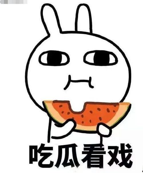 吃瓜被别人扔了原版,揭秘背后真相