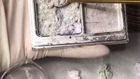 anncy吃瓜,揭秘娱乐圈幕后故事