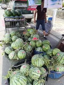 厦门世贸吃瓜事件,一场网络热议的美食与秩序之争